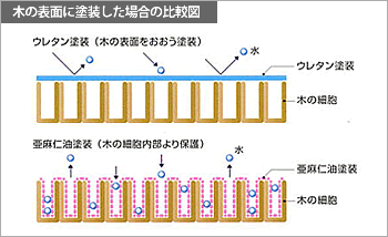 木の表面に塗装した場合の比較図