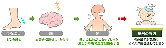 くるぶしセンサーと脳の働き